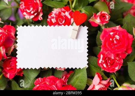 Leere weiße Grußkarte auf Spray roten Rosen Bouquet. Platz für Text. Kopierbereich. Draufsicht. Nahaufnahme. Stockfoto