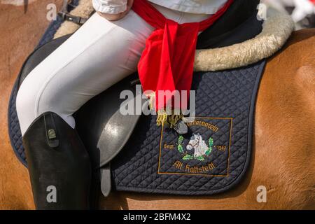 Ringreiten, traditionelles Ridung Festival des Reitvereins Alt Hattstedt, Hattstedt, Nordfriesland, Schleswig-Holstein, Norddeutschland Stockfoto