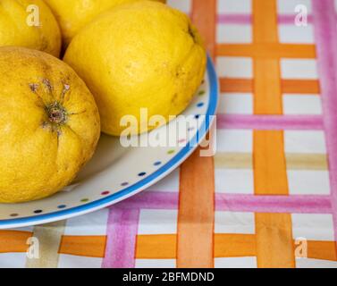 Nahaufnahme von Bio-Zitronen in einem bunten Gericht, auf einem Tisch. Nützlich als floraler Hintergrund. Horizontale Ansicht Stockfoto