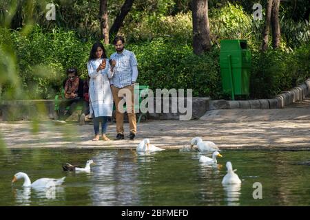 Neu Delhi, Indien - 17. März 2020: Indisches Paar steht an einem Teich und fotografiert mit einem Telefon von Schwanen beim Schwimmen. Aufgenommen im Lodi Garden Stockfoto