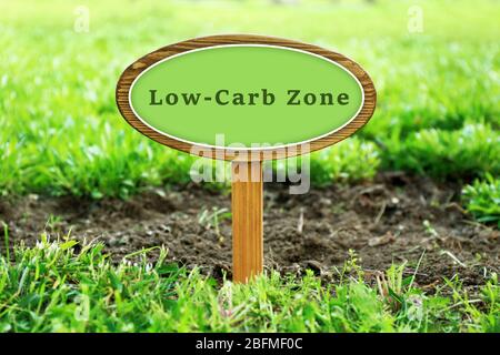 Low-Carb Zone Text auf Holzschild über Gras, im Freien Stockfoto