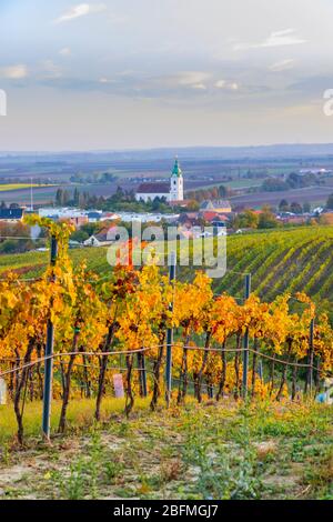 Weinberg bei Unterretzbach im Weinviertel, Oberösterreich Stockfoto
