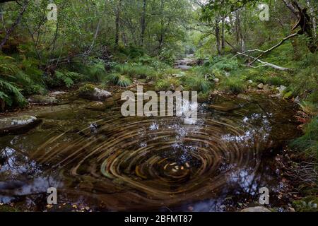 Natürliche Becken, die vom Fluss Cerves in der Provinz Orense, Galicien, Spanien, gebildet werden. Stockfoto