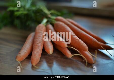 Frische Möhren aus dem Garten in der Küche, Kochen mit gesunden Bio-Lebensmitteln, Gemüse Stockfoto