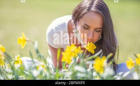 Schöne Frau mit Gesichtsmasken über den Ohren, doch unter ihren Mund gezogen, riechend Narzissen auf einer grünen Wiese. Stockfoto