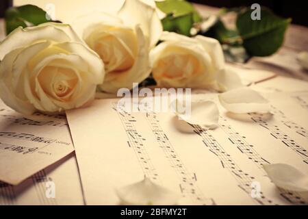 Schöne Rosen auf Musik Notizen Hintergrund Stockfoto