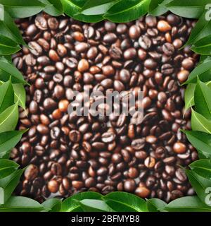 Rahmen aus Kaffeebohnen und grünen frischen Blättern Stockfoto