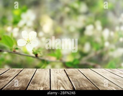 Leerer Holztisch und verschwommener blühender Baum auf Hintergrund Stockfoto