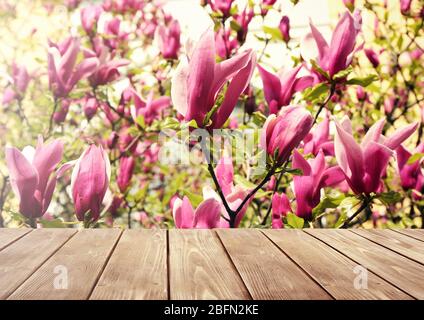 Leerer Holztisch und verschwommener blühender Baum auf Hintergrund Stockfoto