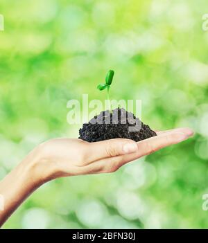 Hand hält grünen Sprossen auf Naturhintergrund. Neues Lebenskonzept Stockfoto