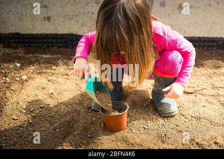 Kleines kaukasisches Mädchen, in ihrem Garten, füllt einen Topf mit einer Schaufel während Covid-19 Lockdown. Outdoor-Ideen-Aktivität für Kinder zu Hause in Pandemi Stockfoto