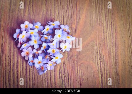 Vergissmeinnicht Blumen in Form von Herz auf Holzhintergrund Stockfoto