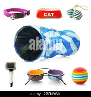 Verschiedene Katzen Accessoires auf weißem Hintergrund Stockfoto