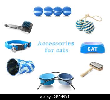 Verschiedene Katzen Accessoires auf weißem Hintergrund Stockfoto