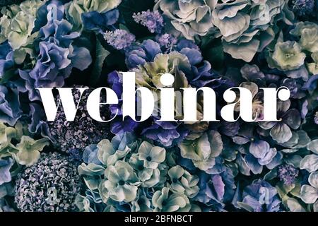 Word WEBINAR auf Blumen Hintergrund. Floristin und Blumendesign Tutorial Konzept. Stockfoto