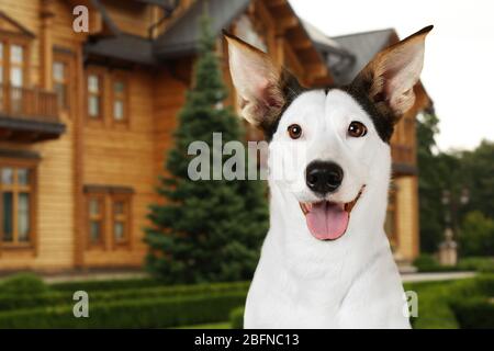 Hundeschutz auf Privateigentum Stockfoto