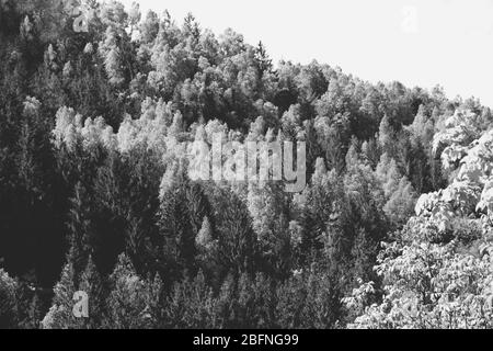 Schwarz-Weiß-Hintergrund im Querformat Stockfoto