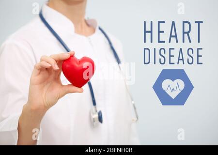Kardiologie und Gesundheitskonzept. Arzthand, die das Herz hält Stockfoto