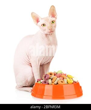 Süße Katze und Schüssel mit trockenem Futter auf weißem Hintergrund Stockfoto