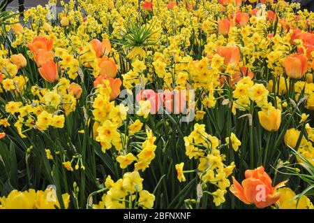 Szenen aus Amsterdam Stockfoto