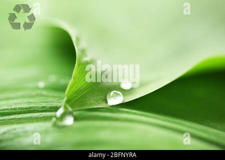 Nahaufnahme des grünen Blattes mit Wassertropfen und Recycling-Symbol. Natur und Umwelt schützen Stockfoto