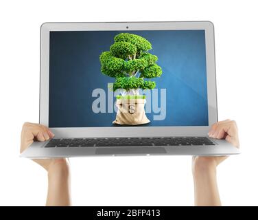 Grüner Baum in der Tasche mit einem Dollar-Zeichen im Bildschirm des Laptops auf weiß isoliert Stockfoto
