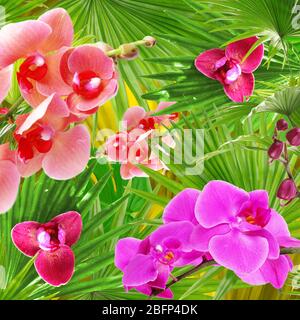 Tropischer Hintergrund mit Palmen und blühenden Orchideen. Florale ClipArt mit Lageneffekt. Nahtloses Muster. Stockfoto