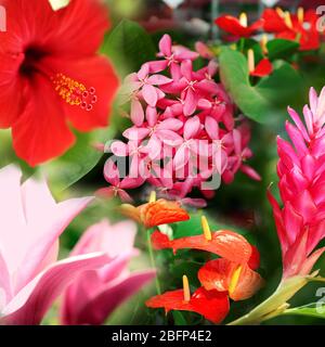 Tropischer Hintergrund mit verschiedenen Blumen. Florale ClipArt mit Lageneffekt. Nahtloses Muster. Stockfoto