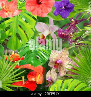 Tropischer Hintergrund mit Palmen, Monstera-Blättern und verschiedenen Blumen. Florale ClipArt mit Lageneffekt. Nahtloses Muster. Stockfoto