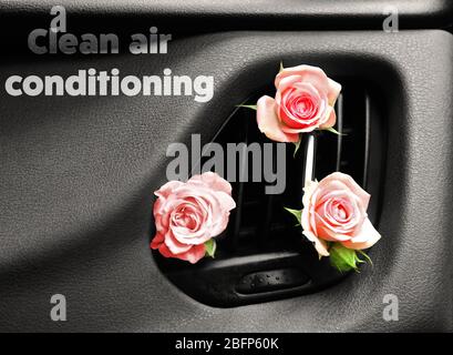 Rosen in Auto Luftentlüftung mit Text saubere Klimaanlage auf dem Armaturenbrett. Klimaanlage. Stockfoto