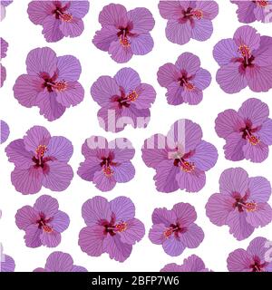 Hibiscus rosa Blumen nahtloses Muster weißen Hintergrund Illustration Stockfoto