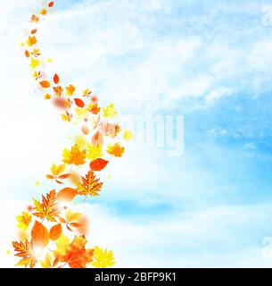 Herbst fallende Blätter auf blauem Himmel Hintergrund Stockfoto