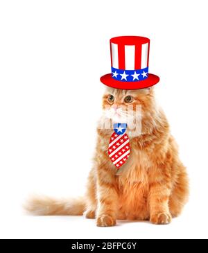 Nette Katze in Onkel Sam Hut und Krawatte auf weißem Hintergrund. Urlaubskonzept USA. Stockfoto