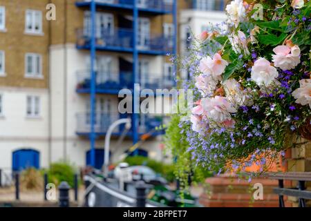 Blumenarrangement auf der Seite des Gebäudes mit Booten und Wohngebäuden im Hintergrund in Limehouse Marina, Tower Hamlets, East London, England, UK Stockfoto