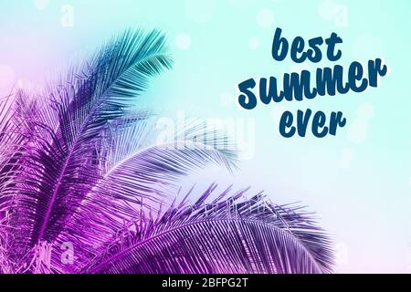 Text BESTEN SOMMER ALLER ZEITEN und Palmen auf Himmel Hintergrund Stockfoto