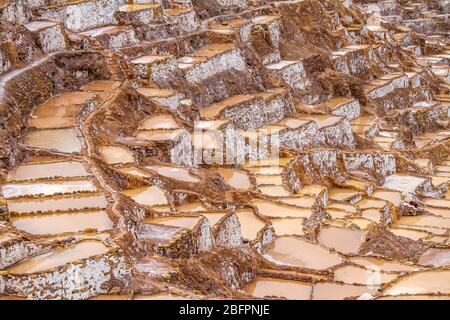 Inka-Salinen, Sacred Valley, Peru Stockfoto