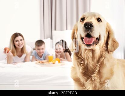 Hund und glückliche Familie im Hintergrund Stockfoto