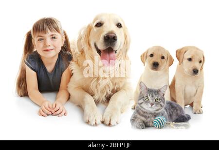 Kleines Mädchen mit niedlichen Haustieren auf weißem Hintergrund Stockfoto