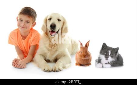 Kleiner Junge mit niedlichen Haustieren auf weißem Hintergrund Stockfoto