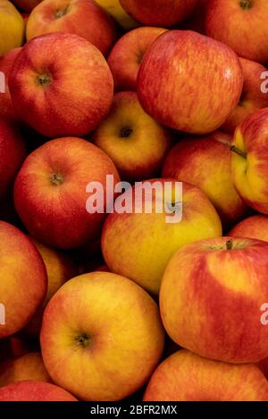 Eine Nahaufnahme von vielen frischen roten Äpfeln Stockfoto
