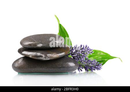 Spa-Steine, Lavendel und Blätter auf weiß isoliert Stockfoto