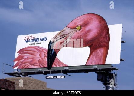 Die Plakatwand mit einem Flamingo ist für Marineland, einen aquatischen Themenpark in Palos Verdes nahe Los Angeles, CA, werben Stockfoto