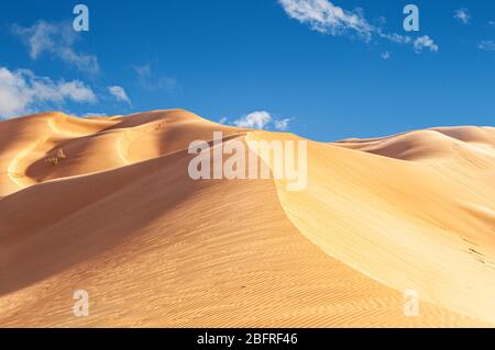 Die schöne Omani Rub al-Chali Wüste im Sommer Stockfoto