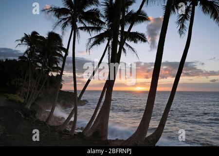 Farbenprächtiger Sonnenaufgang zeigt krachende Wellen an der Lavaküste und der palmengesäumten Puna-Küste auf der Big Island von Hawaii. Stockfoto