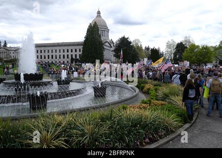 Olympia, USA. April 2020. Hunderte von Demonstranten versammeln sich am 19. April 2020 um das Capitol in Olympia, Washington, herum, um gegen die bis zum 4. Mai in Kraft tretende Stay Home-Verordnung von Gouverneur Inslee zu demonstrieren. (Foto: Alex Milan Tracy/Sipa USA) Quelle: SIPA USA/Alamy Live News Stockfoto