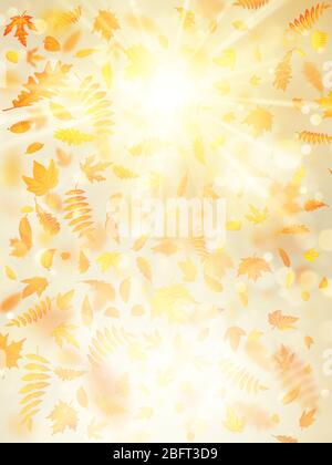 Schöner Herbsthintergrund mit Ahorn Herbstblätter und zarte Sonne. EPS 10 Stock Vektor