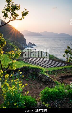 Gacheon Village, Südkorea - 18. APRIL 2020: Namhae ist ein wunderschönes Küstengebiet Koreas an der Südküste. Das Dorf Gacheon ist dafür berühmt Stockfoto