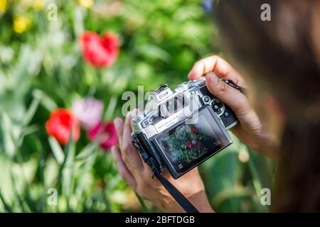 Pfaffenweiler, Deutschland. April 2020. Alexandra Klein, Dozentin für Naturschutz und Landschaftsökologie an der Albert-Ludwigs-Universität Freiburg, sitzt in Ihrem Garten und filmt Lehrvideos für Ihre Studierenden. Aufgrund der Koronakrise wechselt die Universität Freiburg für das Sommersemester, das normalerweise am 20. April beginnt, in die digitale Lehre. (Zu dpa: ''Primat des Digitalen' - Universitäten wandeln ihre Lehre um') Quelle: Philipp von Ditfurth/dpa/Alamy Live News Stockfoto