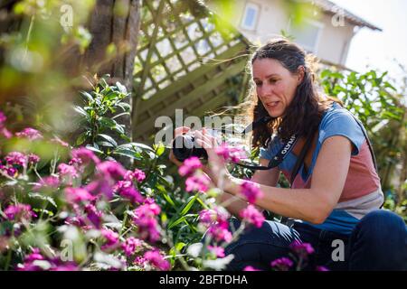 Pfaffenweiler, Deutschland. April 2020. Alexandra Klein, Dozentin für Naturschutz und Landschaftsökologie an der Albert-Ludwigs-Universität Freiburg, sitzt in Ihrem Garten und filmt Lehrvideos für Ihre Studierenden. Aufgrund der Koronakrise wechselt die Universität Freiburg für das Sommersemester, das normalerweise am 20. April beginnt, in die digitale Lehre. (Zu dpa: ''Primat des Digitalen' - Universitäten wandeln ihre Lehre um') Quelle: Philipp von Ditfurth/dpa/Alamy Live News Stockfoto