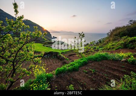 Gacheon Village, Südkorea - 18. APRIL 2020: Namhae ist ein wunderschönes Küstengebiet Koreas an der Südküste. Das Dorf Gacheon ist dafür berühmt Stockfoto